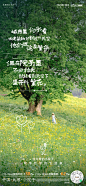 不要繁华要繁花-院子哲学派