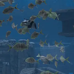 @一百个大不刘   背景图