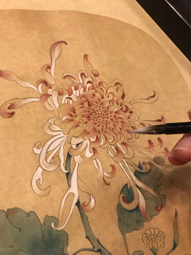 半生宣上的金色菊花_1_彦青_来自小红书...