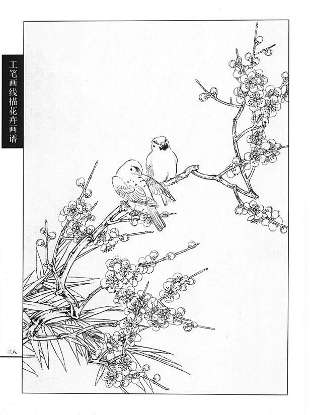 工笔画线描花卉画谱梅花篇