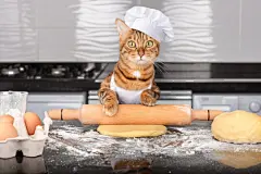 点击来源直接获取大图文件 |A cat in an apron and a cap rolls out the dough.