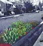 Virginia LID Competition  :  Stormwater Retrofit