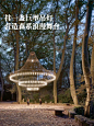 怎样打造网红场景 - 小红书