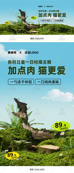 黄蜂网采集到宠物