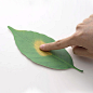 树叶变色温度计 随温度变色 Leaf Termometer创意家居