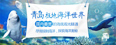 不着边的未来采集到广告条