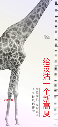 挥霍青春采集到海报