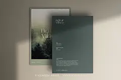 12款质感莫兰迪配色单页名片明星片文具设计作品贴图ps样机素材下载_颜格视觉