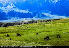 春季天山山脉 牧场放牧 马儿吃草 新疆马 棕色马 巍峨大山 针叶林阔叶林 连绵起伏 草原草场 芳草篓妻 山峦青翠 丘陵风光画卷 河谷阶地地貌 新疆乌苏
【参数】 21.79 MB | JPG | 5616×3744 | 240DPI | RGB