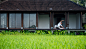 巴厘岛乌布塔娜伽嘉CHEDI CLUB酒店套餐—立鼎世酒店集团成员 - Ubud & Around,Bali Island,Indonesia - 海外自由行 - ZANADU赞那度