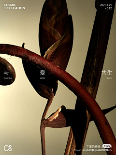 阿cat🌺采集到A 物品 拍摄