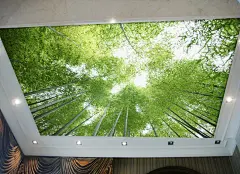 清新个性定制墙纸吊顶天花板灯池 拓展延伸空间壁纸 顶面竹林天空-tmall.com天猫