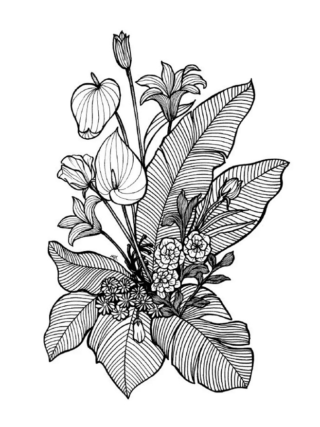 练完这一篇,你的手从此再也不是爪 : 线描花卉4喜欢线描画由木design