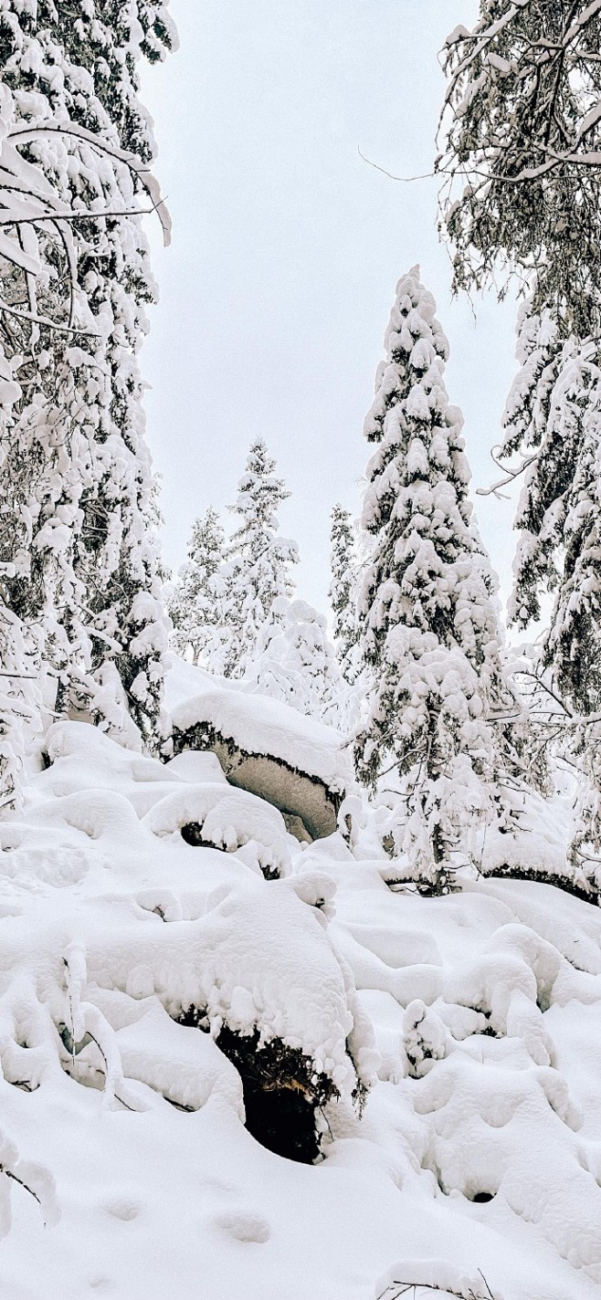 雪景