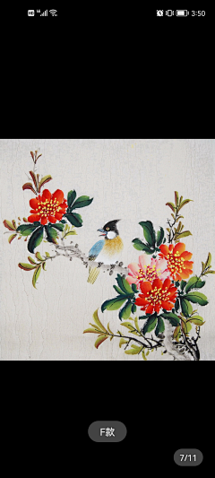 暖小姐-Daisy采集到国画
