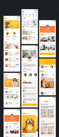惠惠同学-采集到app--宠物
