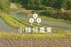 MarxYan采集到P-品牌