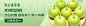 砀山梨banner