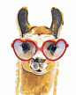 Llama Watercolour PRINT - 8x10 Art Print, Heart Shaped Glasses, Llama Illustration
