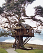 Check out these beautiful tree houses you can build on your garden.