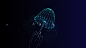 VENTUZ X PARTICLES : For the new release of VENTUZ X, I started to learn one of the new features "PARTICLES SYSTEM" since I always like to create complicated stuff I could not wait to dig into the system. And here is the output of my learning ex