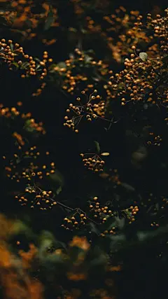 #每日桌面# 手机壁纸一组 ​​​​