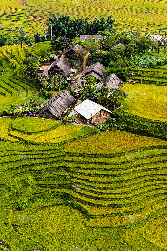 稻田里的越南村庄