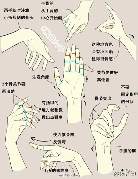 手控必备，画美手时应该注意的重点-花瓣网