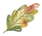 秋季卡通水彩动物松鼠刺猬印刷可爱装饰免抠PNG图案 透明设计素材 (66)