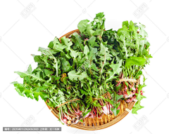 写给前任的999封情书采集到野菜