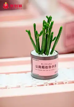 采集图片