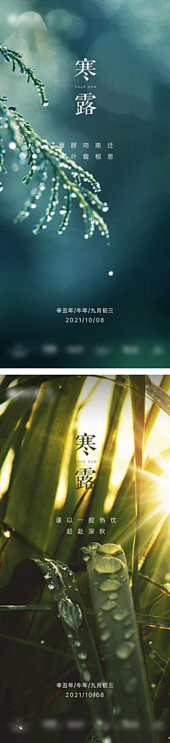 無始007采集到寒露