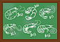 Prawns vector set