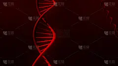 脱氧核糖核酸,绘画插图,红色,后背,分离着色,三维图形,光线追踪,染色体,遗传研究,显微镜