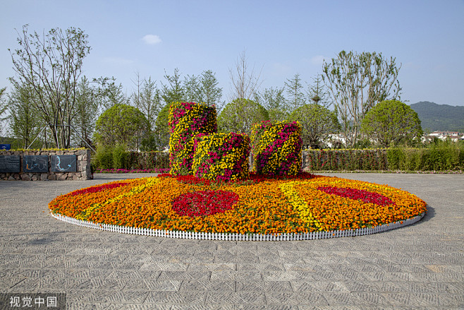 摆花意向 (11)