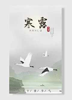 大雁简约风灰色袅袅凉风动凄凄寒露零中国传统节气寒露海报