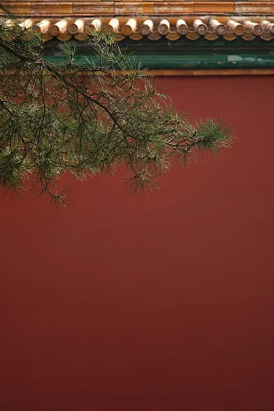 故宫,红墙,松树,中国文化图片下载
