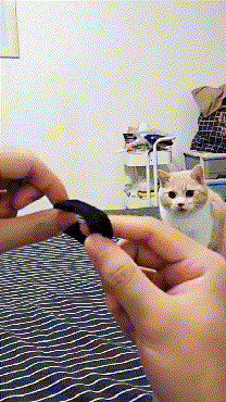 43500f83832844ce908b76c0254d4410采集到D-gif