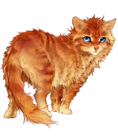 猫之插画图集丨绘画动画素描水彩手绘临摹案例