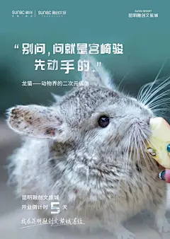 “碰瓷”宫崎骏，昆明融创这组开业海报太可爱了！
