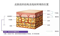 新星O采集到肌肤效果图