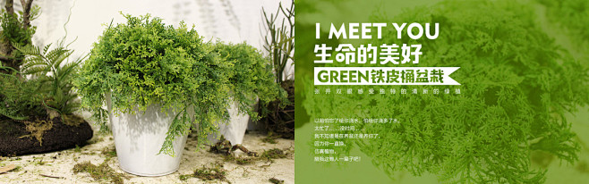 园艺盆栽植物海报