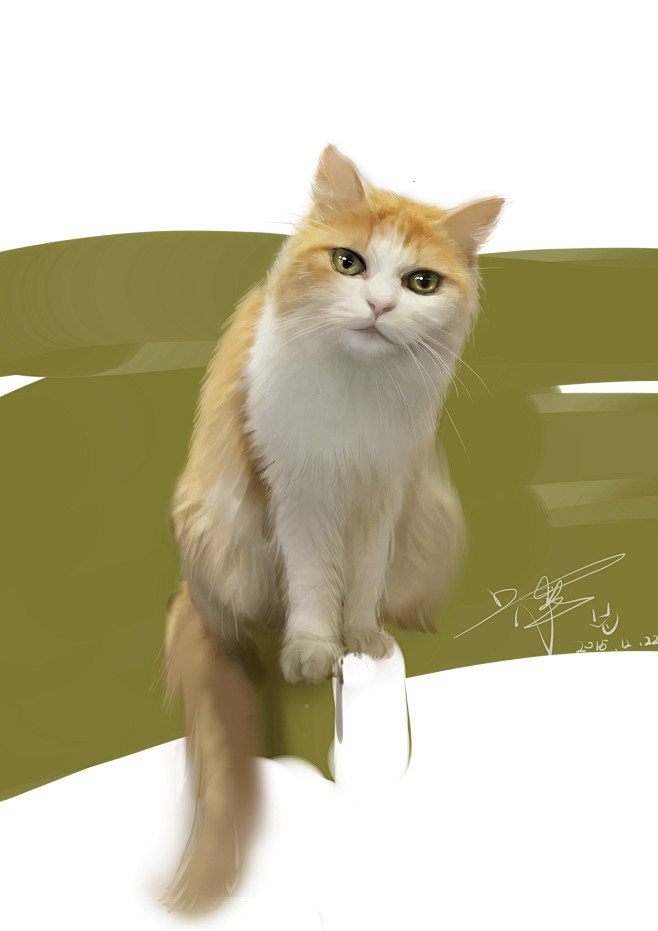 猫7
