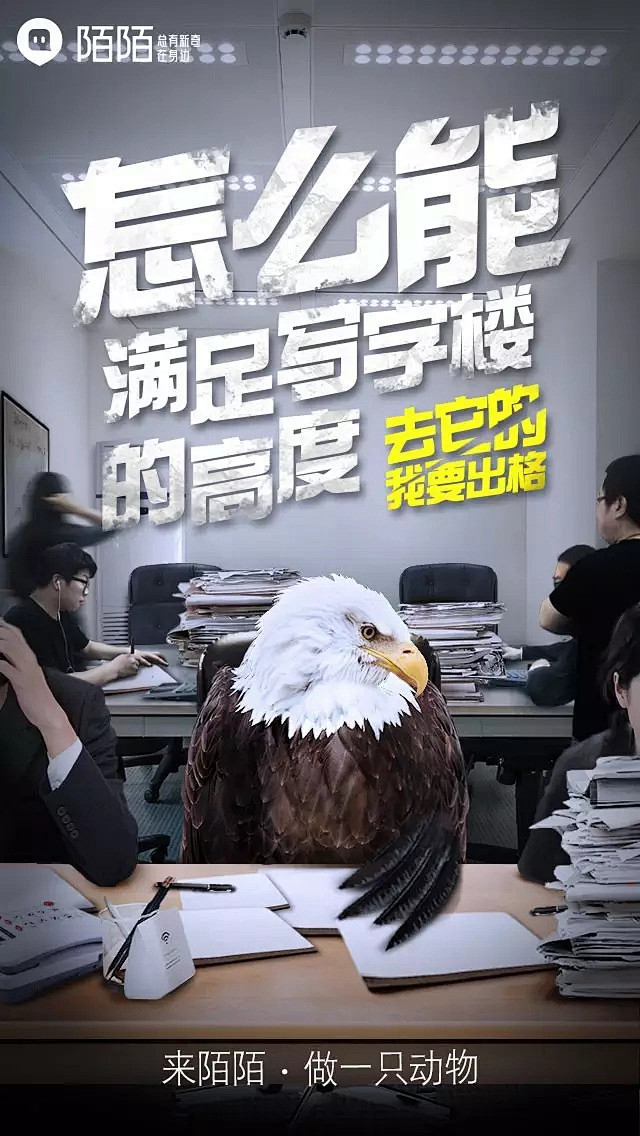 陌陌：做一只动物