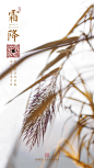 @到此为止′Here，∈点击进入主页，霜降/霜降单图/霜降微信/霜降微推/24节气