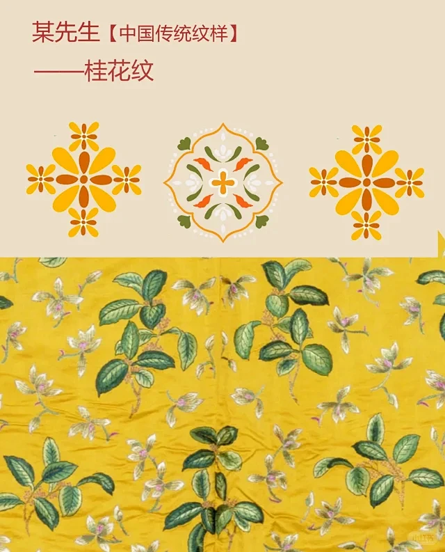 桂花插画 - 小红书搜索-花瓣网