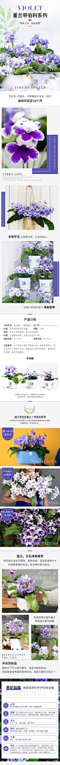 #虹越天猫旗舰店#详情#堇兰#2020#花卉#果树#绿植盆栽#