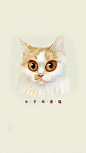 手绘。彩铅。手绘素材。猫。可爱。插画。iPhone5。手机壁纸。动物。中华田园猫。
