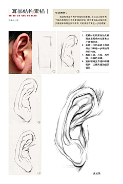 一半青山一半绿水采集到绘画素材-头颈肩