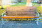 公园,长椅,木制,秋天,美,褐色,座位,水平画幅,无人,户外